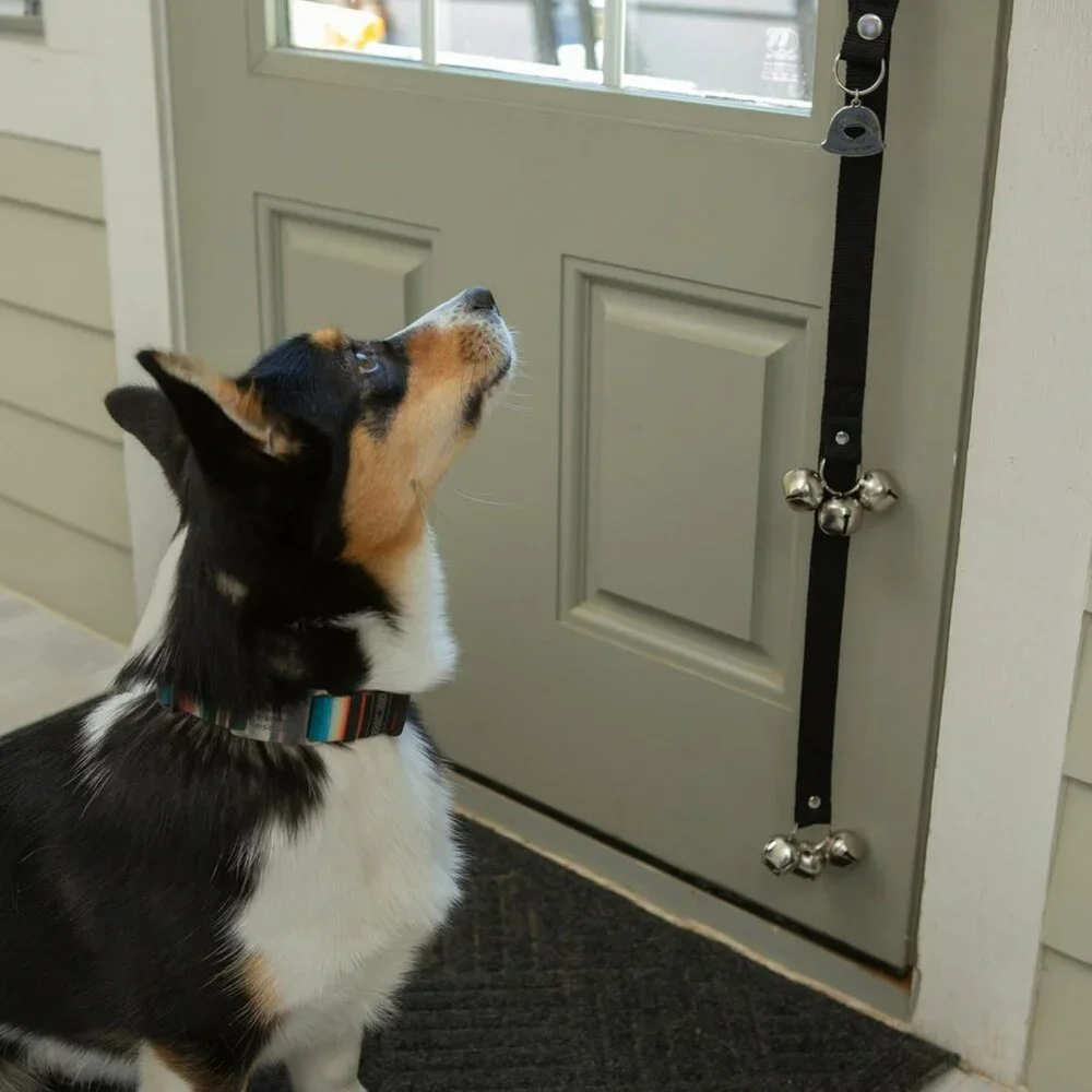 Dog Potty Bells, Dog Door Bell, Bells to Go Outside, Potty Training Bell, Dogs D